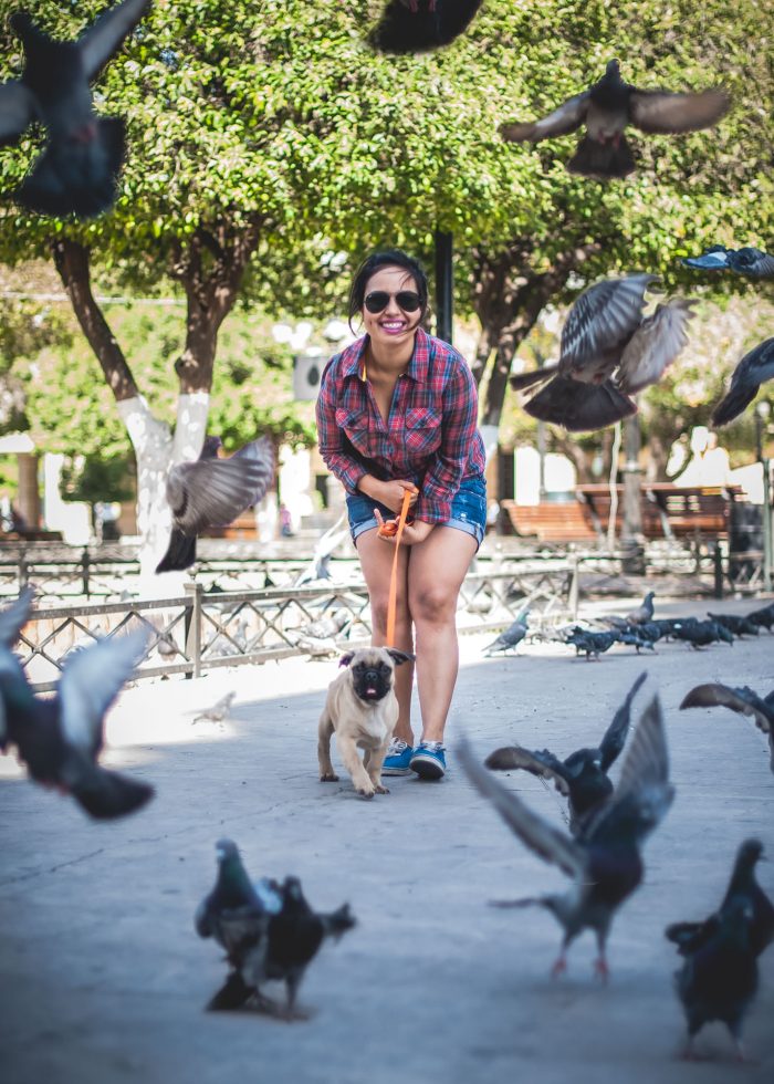 Sesión de foto con mascota en Hermosillo