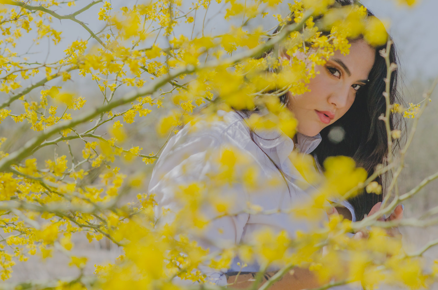 Retrato de mujer entre flores de árbol palo verde